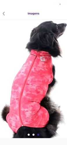 Roupa cirúrgica cachorro