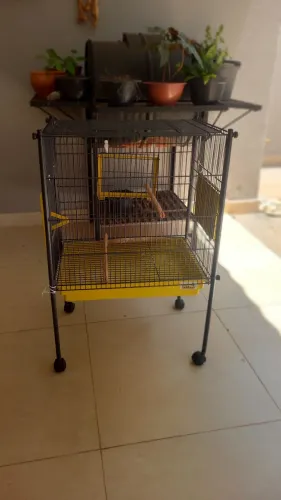 VENDO VIVEIRO GAIOLA