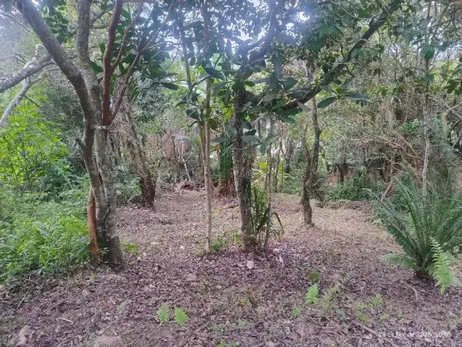 Terreno no bairro Ratones oportunidade única