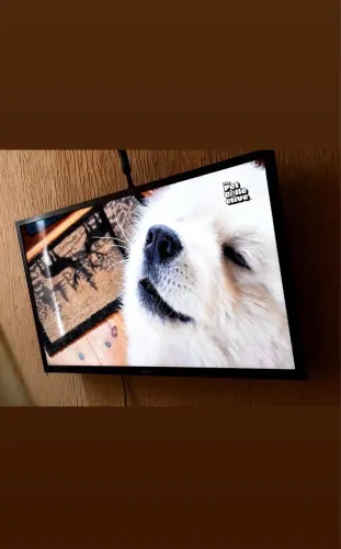 Smart TV Samsung 32 polegadas