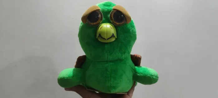 Tartaruga Feisty Pets