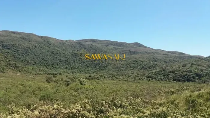 Fazenda para Venda em Araçatuba Tijucas do Sul-PR
