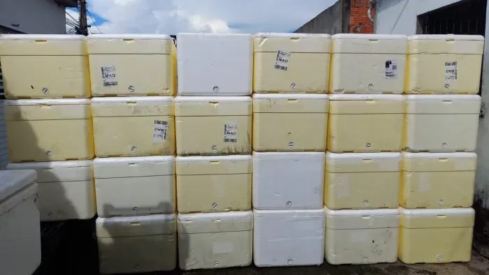 Caixas Térmicas de Isopor para Transporte e Conservação