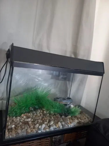 Aquário Completo com Decoração e bomba.