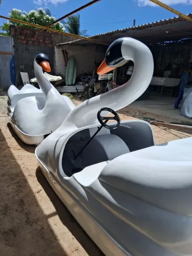 Cisnes Pedais - Diversão Aquática Garantida!
