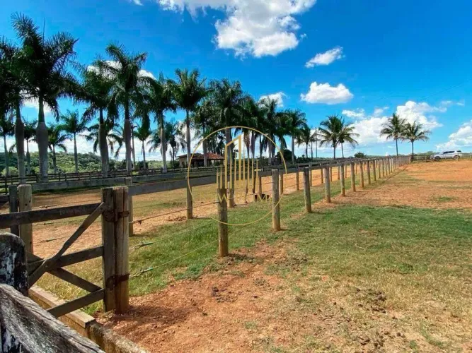 FAZENDA Á VENDA / HARAS PREMIUM  205 HECTARES  PARAOPEBA (MG)