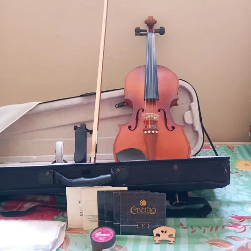 Violino Cecilio by Mendini