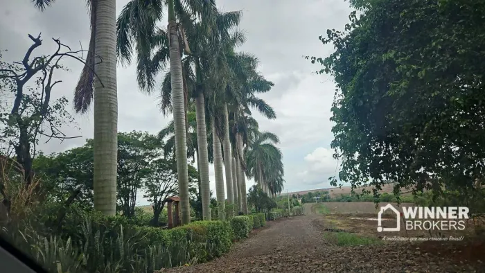 Chácara com 1 dormitório à venda, 2000 m² por R$ 175.000,00 - Jd São Domingos - Maringá/PR