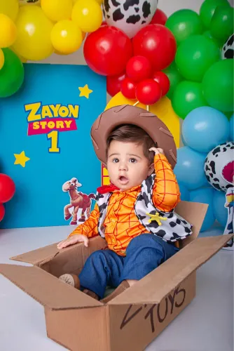 Fantasia Toy Story 
