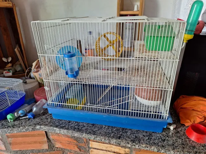 Gaiola roedores hamsters e muitos acessórios 