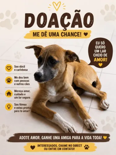 Doação filhote porte médio