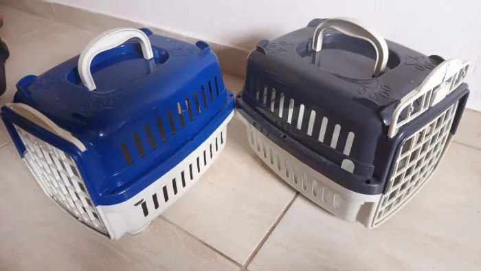 Caixinhas de gato/cachorrinho