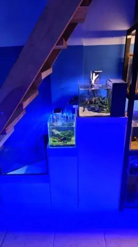 kit Aquarios