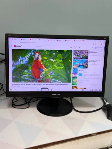 Monitor 19 Polegadas Philips 193V5 HDMI e VGA - Excelente Estado