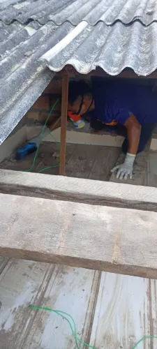 Desratização
