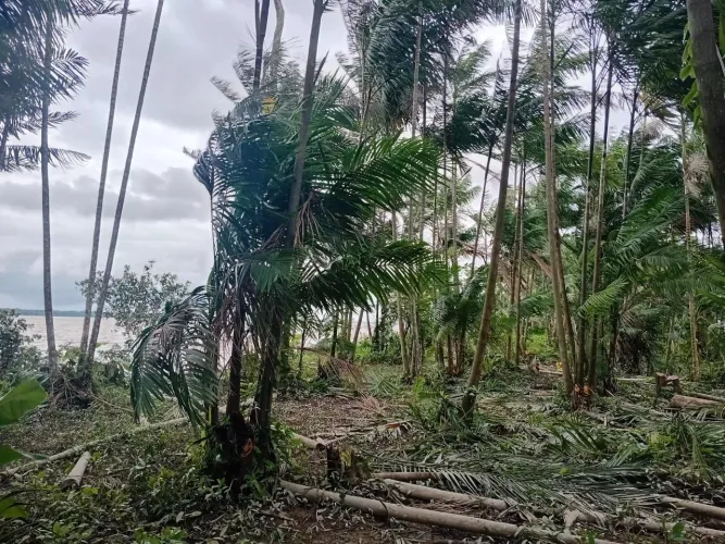 Terreno na ilha