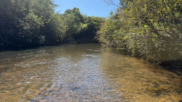 Chácara com rio dos bois no fundo não perca essa oportunidade de adquirir a sua !