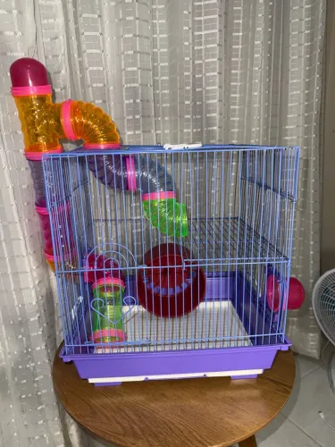 Gaiola grande para Hamster Anão russo