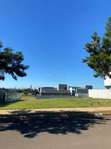 LOTE - TAMBORÉ