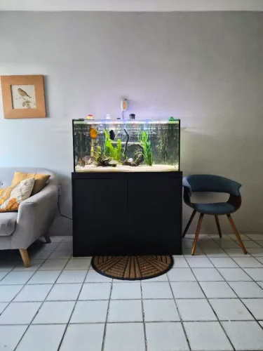 Aquário de 250 Litros completo