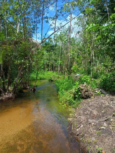 Terrenos a venda em morros