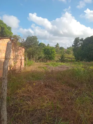 Terreno Amplo com Água Natural e Acesso Duplo - Povoado Nova Descoberta (Itaporanga)