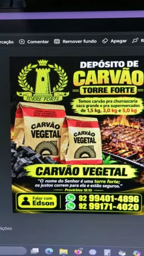 Carvão vegetal
