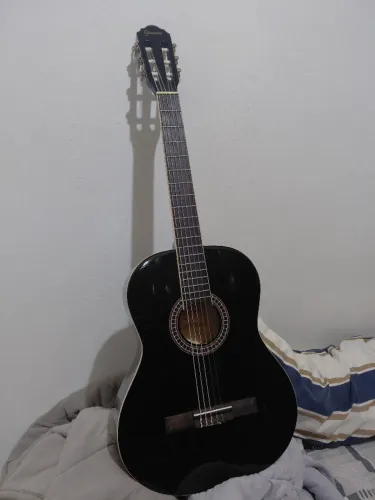 violão giannini usado
