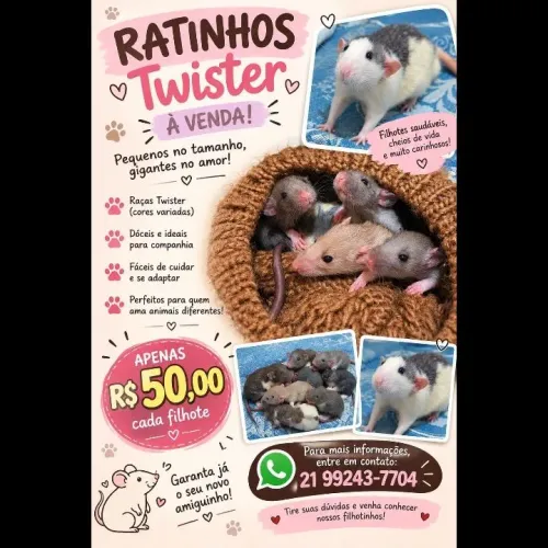 Ratos Twistter