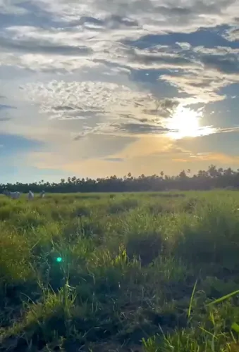 COD540- FAZENDA DE 18.000 HECTARES A VENDA EM MIRANDA / MS
