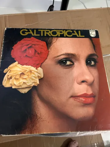 Disco Gal Costa Galtropical