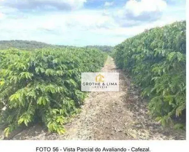 Fazenda à venda de 1880,16 Alqueires Baiano município de UNA - BA