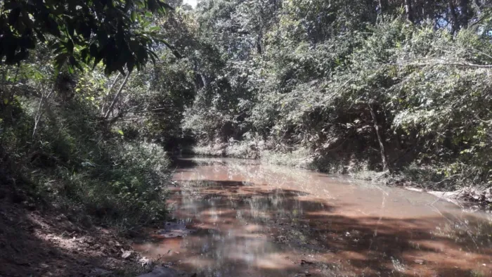Terra na Zona Rural de Padre Bernardo de 20 hectares, com água, escritura e registro. Acei