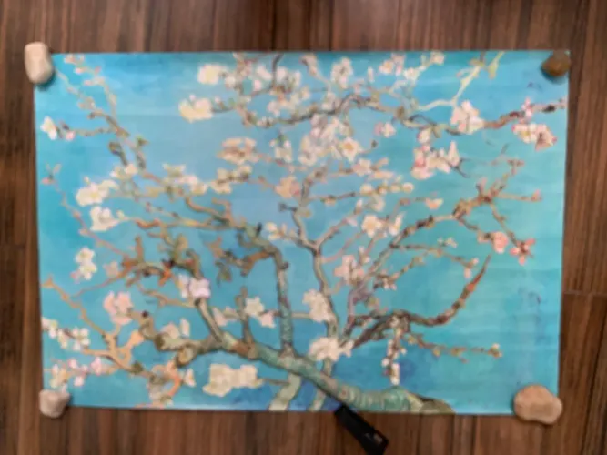 Vendo pintura do Van Gogh. Amendoeira em Flôr