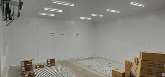 Câmara Congelada