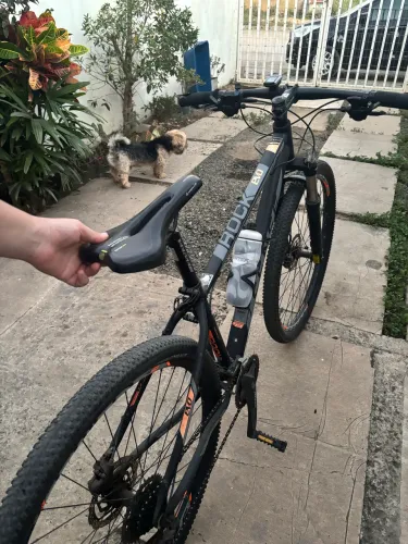 Bicicleta