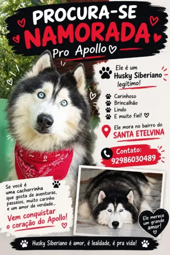 Busco uma namorada 