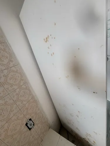 Geladeira Cônsul