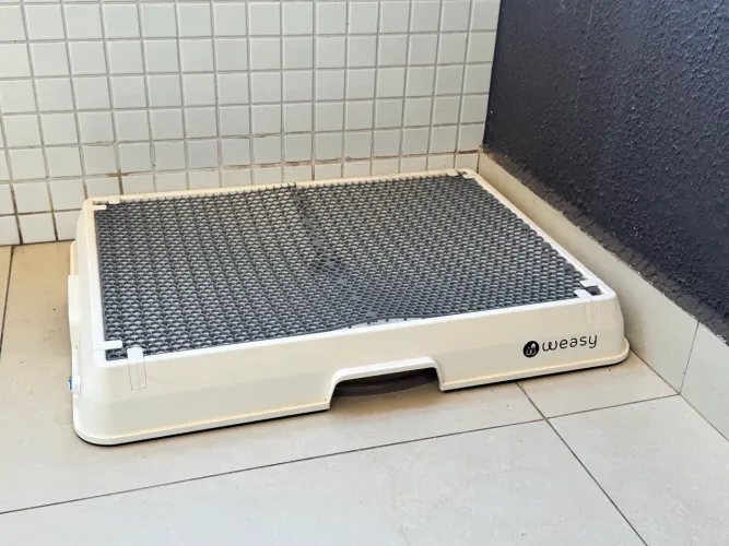 Weasy - banheiro inteligente para cachorros
