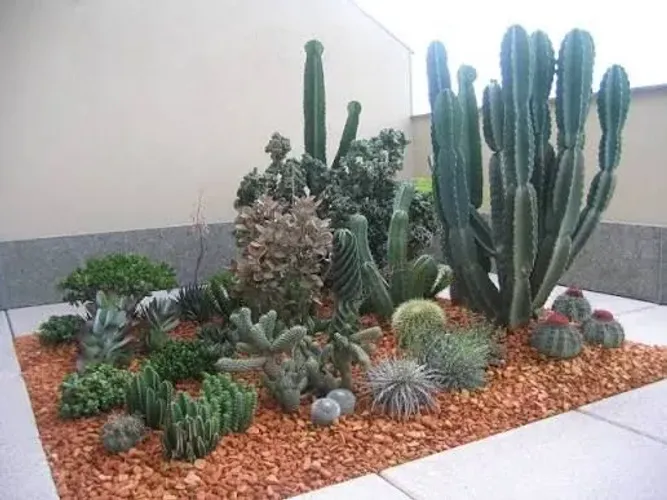 Paisagismo & Jardinagem