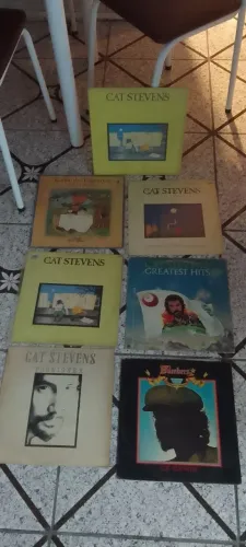 Disco de vinil 