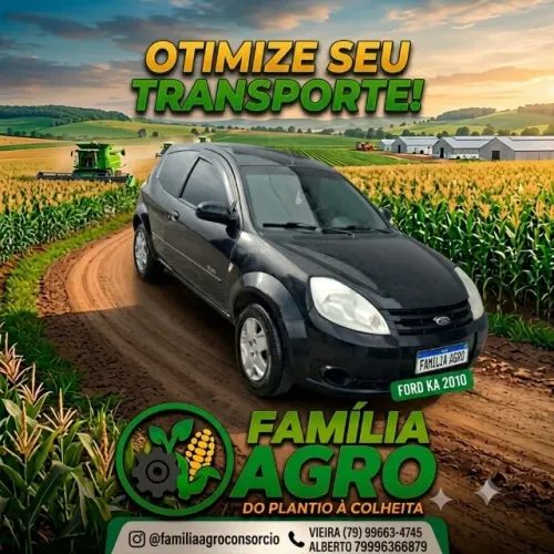 FORD KA 2011
