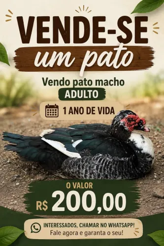 Vende-se pato