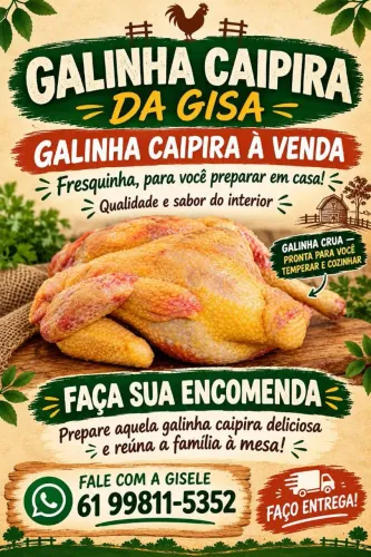 Vendo galinha caipira