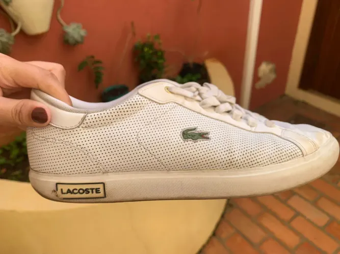 Sapatênis Lacoste original