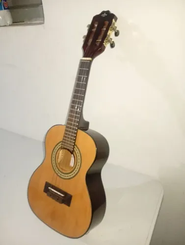 Vendo cavaquinho elétrico 