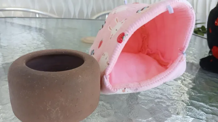 Kit completo para porquinho-da-índia ?