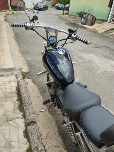 Shark 250