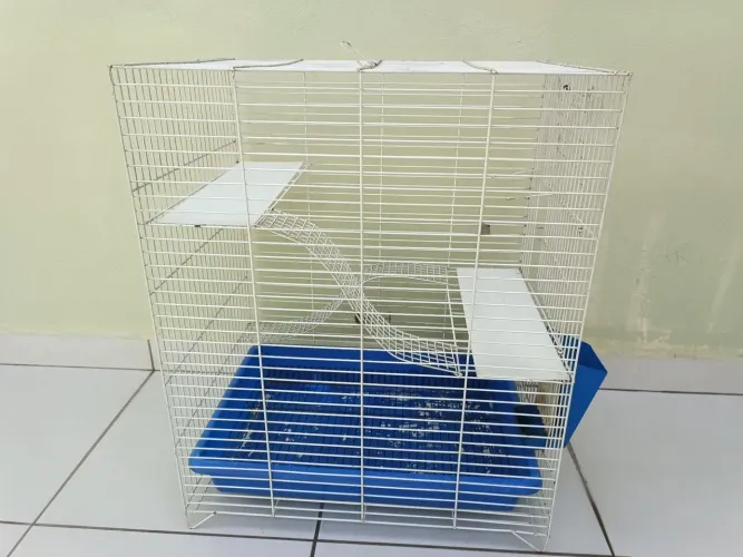 Vendo gaiola grande para roedores.