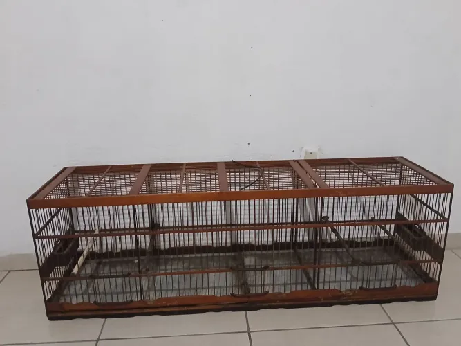 Vendo voador